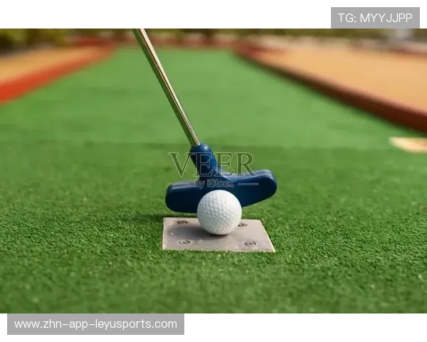 迷你高尔夫锦标赛：细腻中的精彩瞬间，迷你高尔夫设计